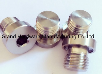 SAE Thread Sockets Stainless Steel oil drain plugs